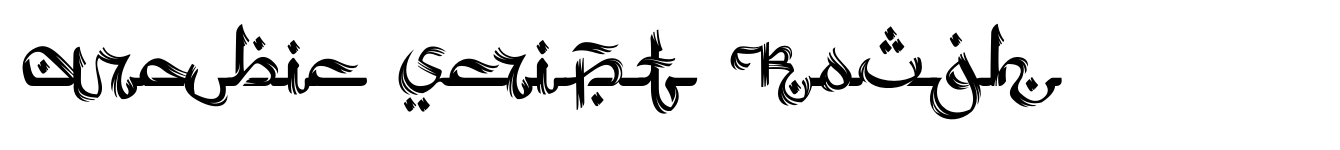 Arabic Script Rough image